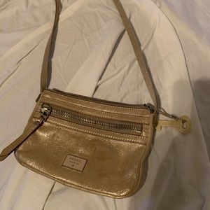 Fossil bag